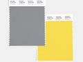 SWCD-TCX-color-of-the-year-2021-ultimate-gray-illuminating